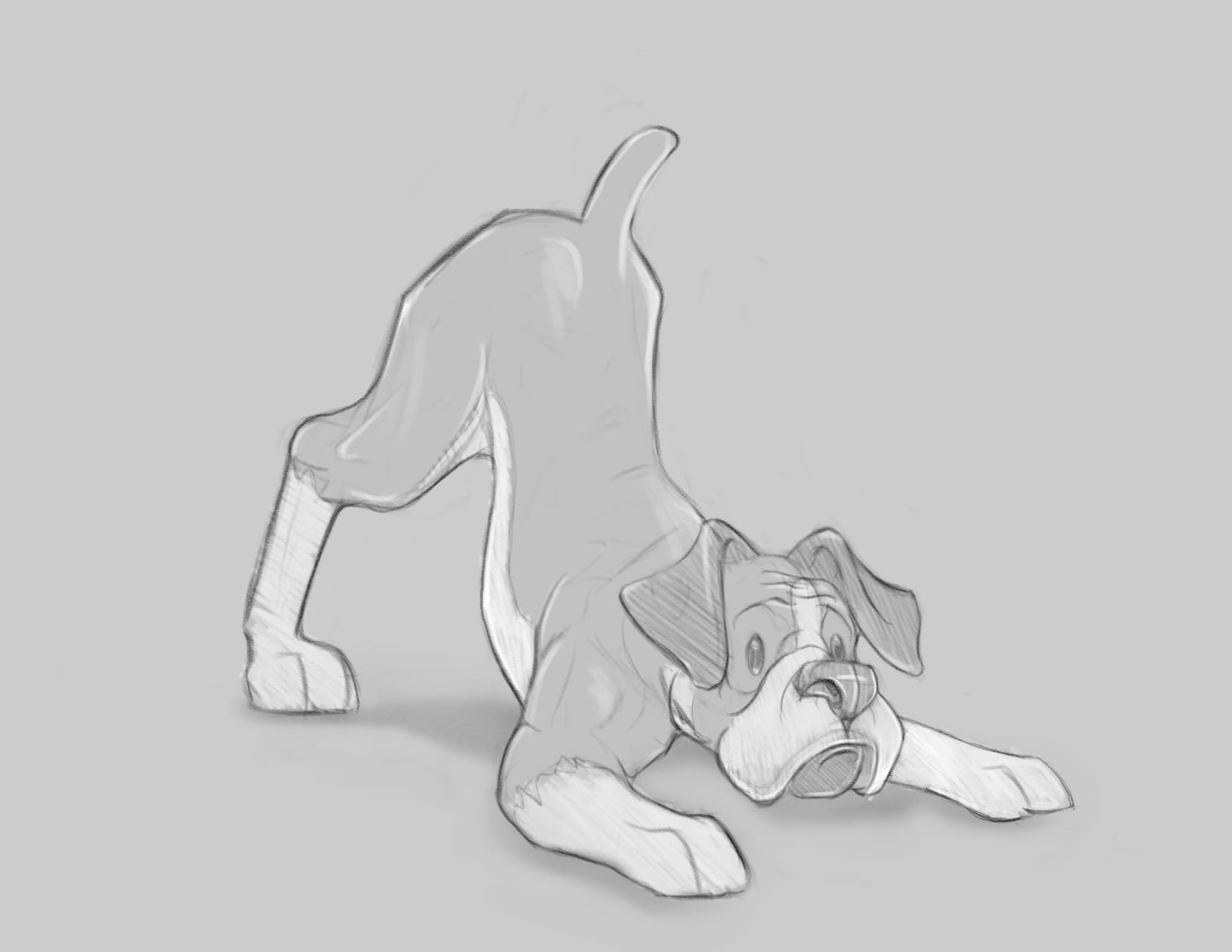 Boxer play bow sketch