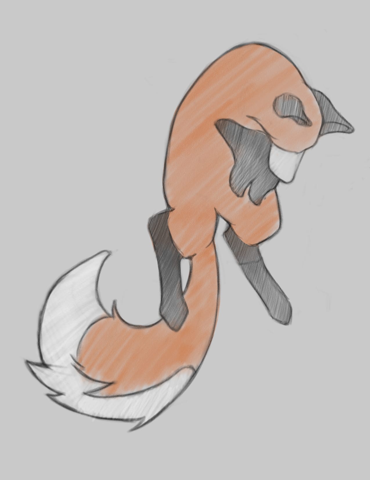 Fox Jump sketch